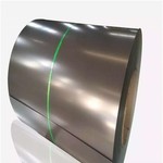 �{�f�P��1070�T���O �i�}�Ҩ�