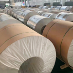 1060�T���O�m��T���O