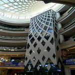 �Z�~�T�O���� �T��O�t�a