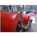 �s�a�T��O�t�a�ƦW